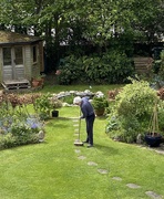 1st May 2020 - Brushing the lawn 