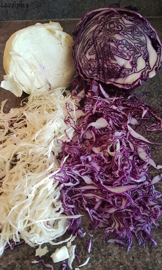 Colourful Cabbage by serendypyty