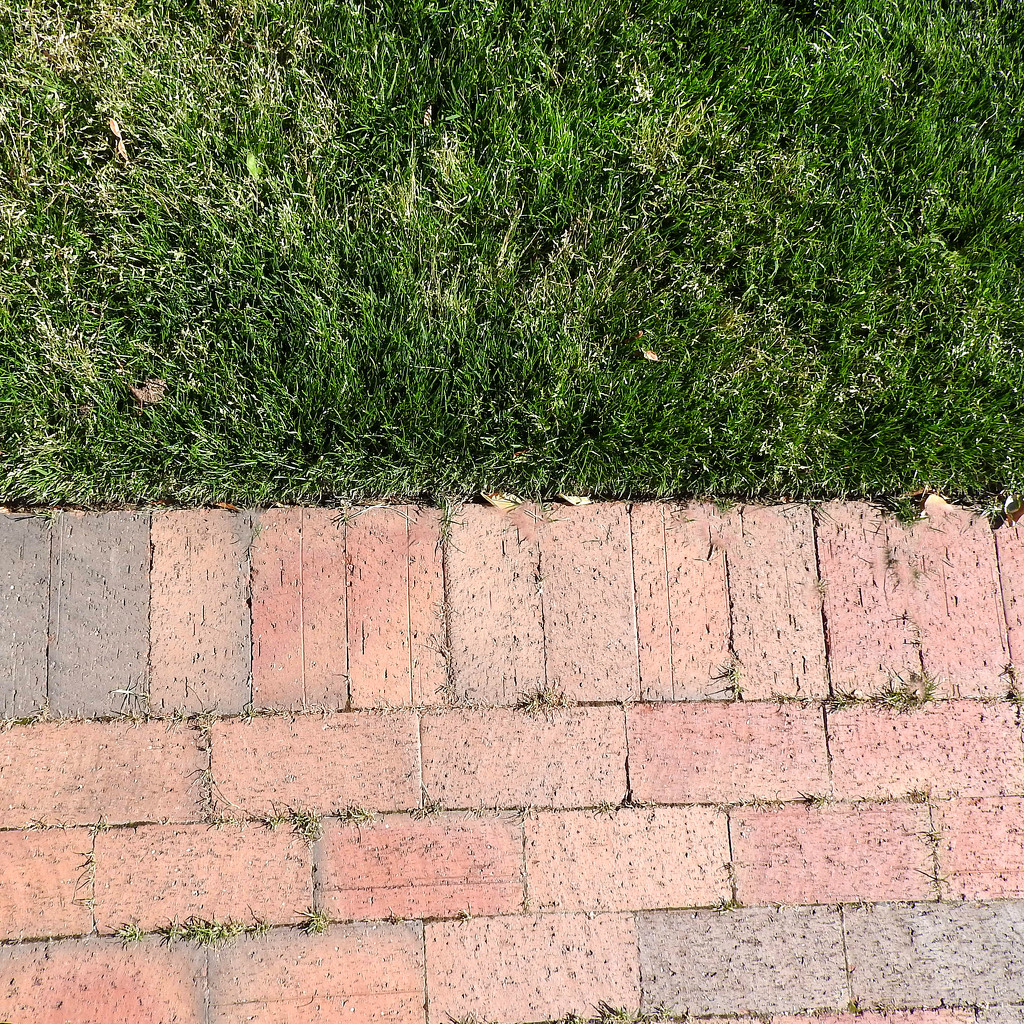 Half brick, half grass by homeschoolmom