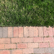 6th May 2020 - Half brick, half grass