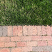 Half brick, half grass by homeschoolmom