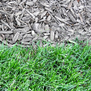 9th May 2020 - Half grass, half mulch