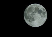 7th May 2020 - Super Flower Moon