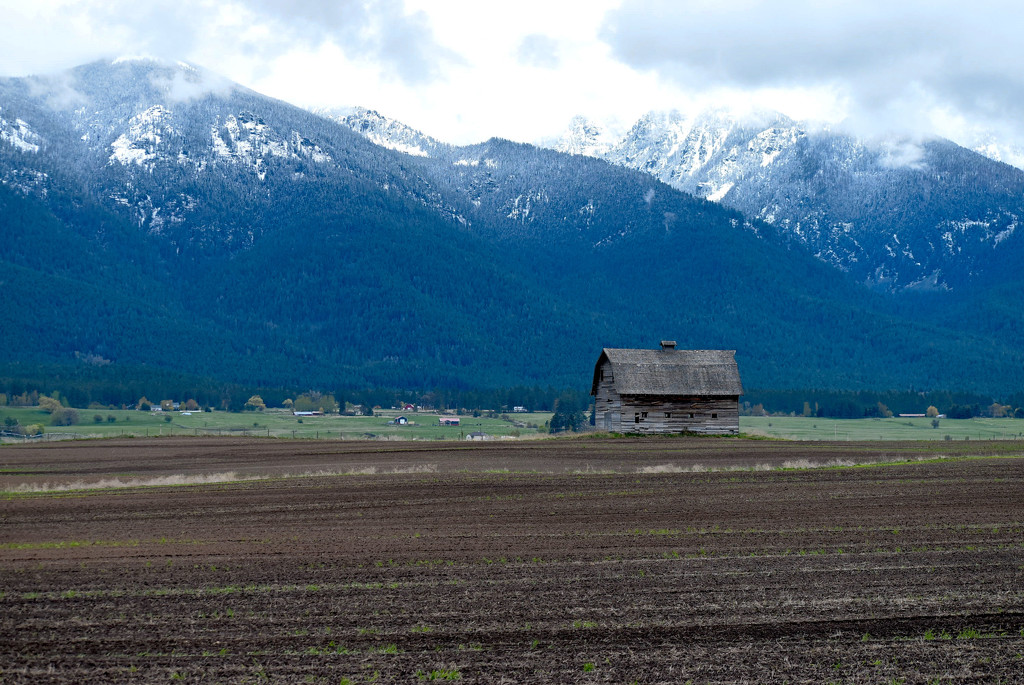 Historic Barn, At A Distance by bjywamer