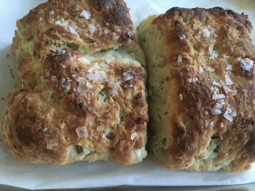 made molly baz’s sour cream and green onion biscuits by wiesnerbeth