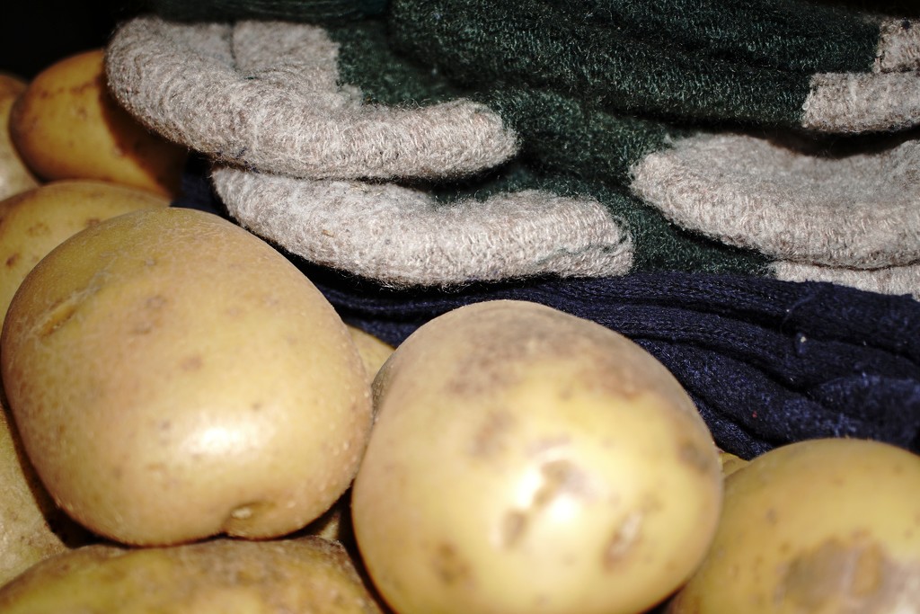 socks for potatoes by quietpurplehaze