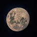The moon 2 days ago by ludwigsdiana