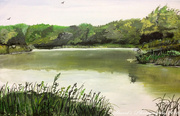 8th May 2020 - Lakeside (painting)