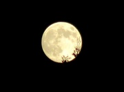 6th May 2020 - Love the moon,,,