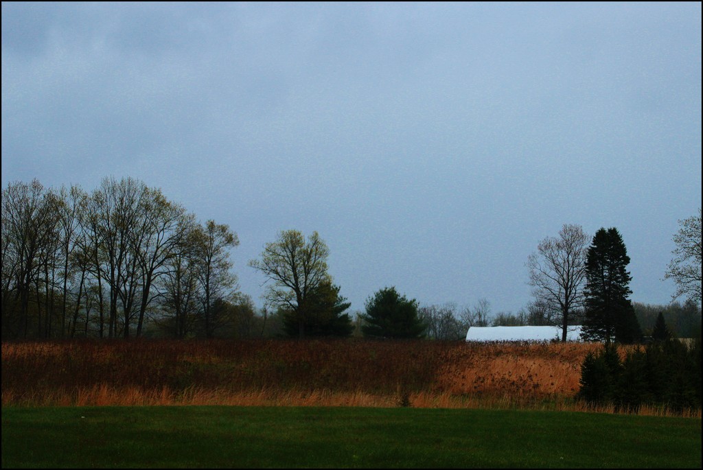 A Rainy Day in PA. by olivetreeann