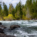 Wild Mile River by 365karly1
