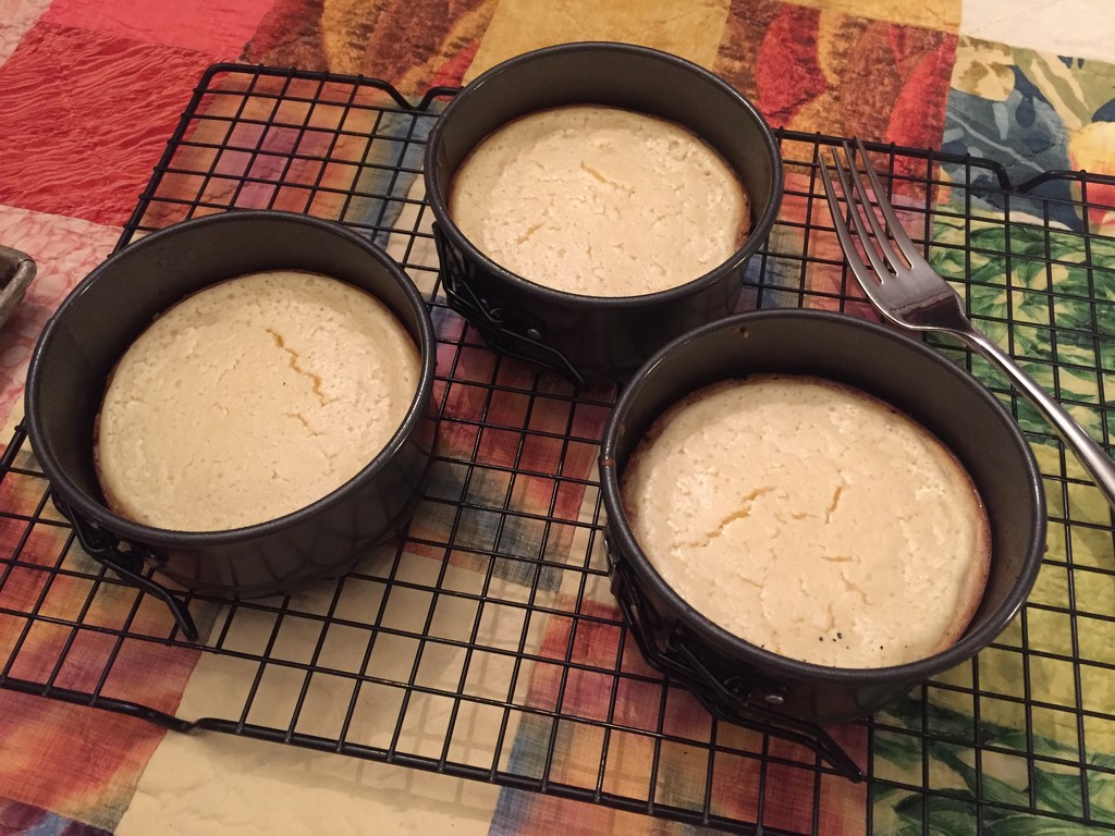 Made some tiny cheesecakes by margonaut