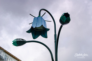 9th May 2020 - Bluebell street light