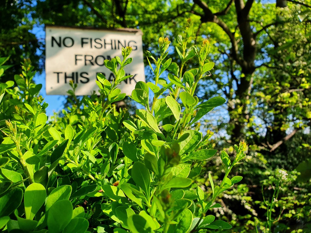 Another no fishing sign  by isaacsnek