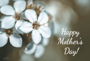 10th May 2020 - Happy Mother's Day