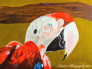 10th May 2020 - Parrot (painting)