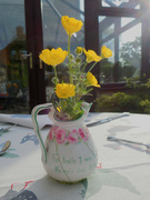 9th May 2020 - Buttercups in vase