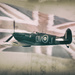 Spitfire. by gamelee