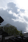 29th Apr 2020 - Shower cloud