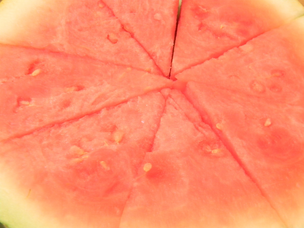 Watermelon Slices by sfeldphotos