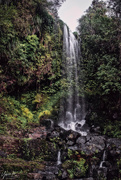 11th May 2020 - Vivian Falls