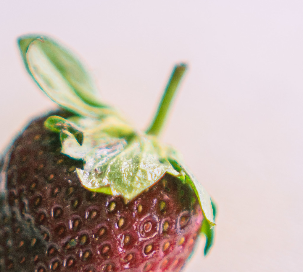 Strawberry in cap by randystreat