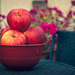 (Day 86) - Join Me For Some Apples by cjphoto