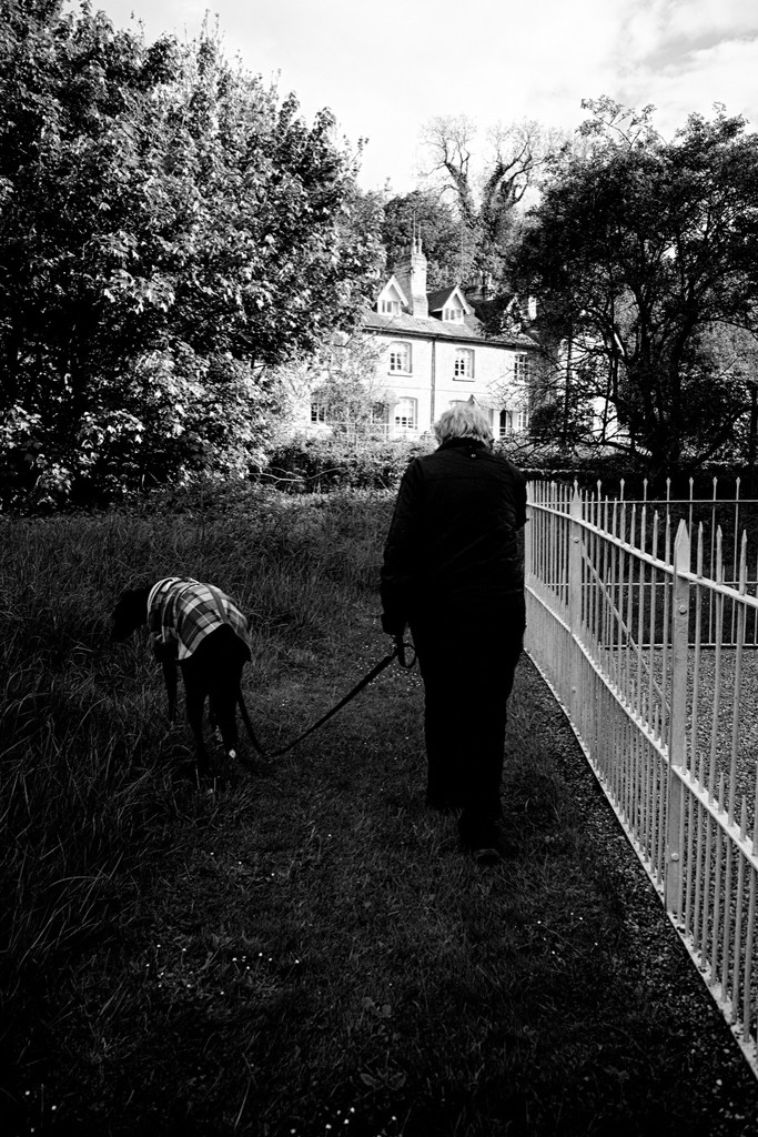 Walking the dog by allsop