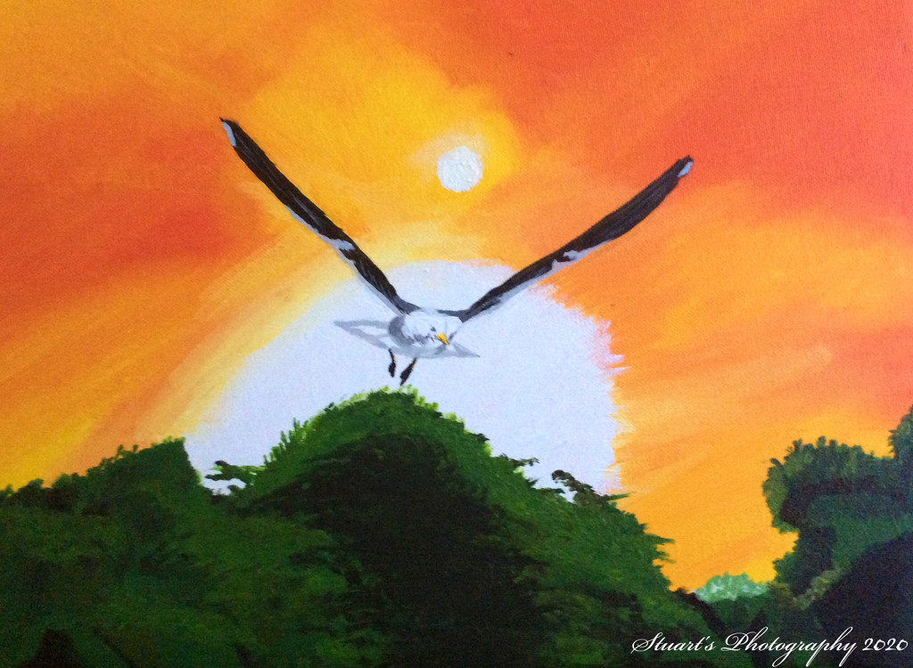 Seagull in flight (painting) by stuart46