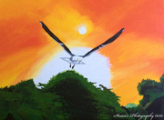 12th May 2020 - Seagull in flight (painting)
