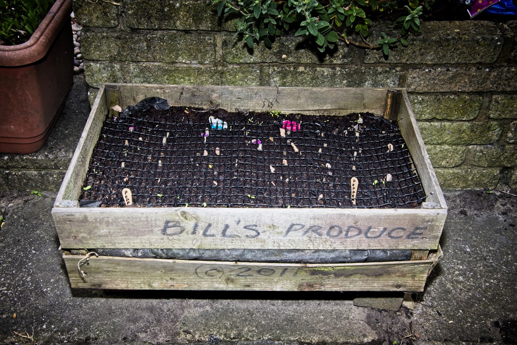 Bill's Produce by billyboy