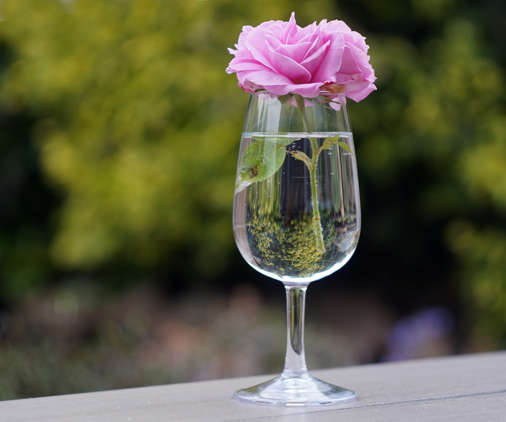 A Glass of Rosé (Vintage Helios 44-2 58mm lens) by phil_howcroft