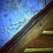 Half Cabin/ Half Sky& Branches by mzzhope