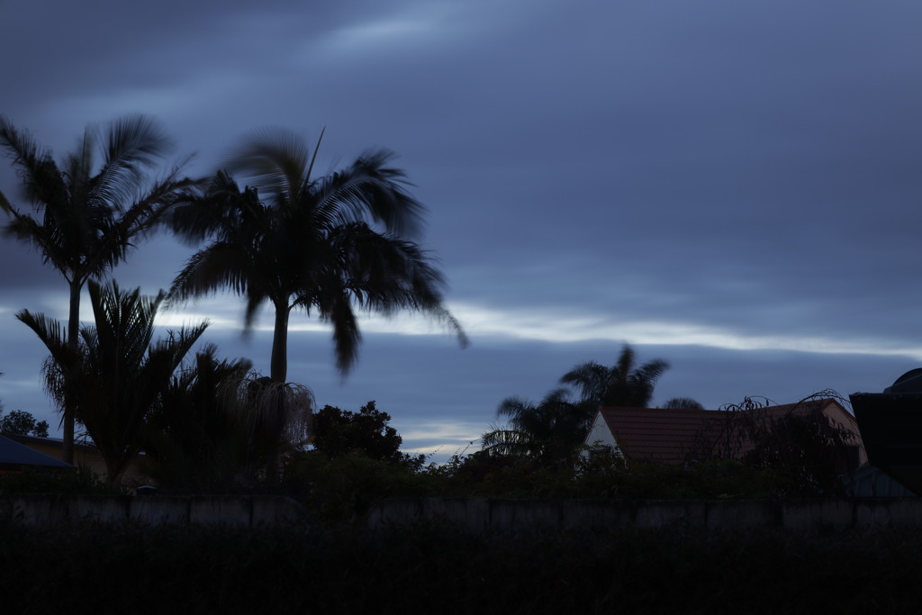 Blue Hour by sandradavies