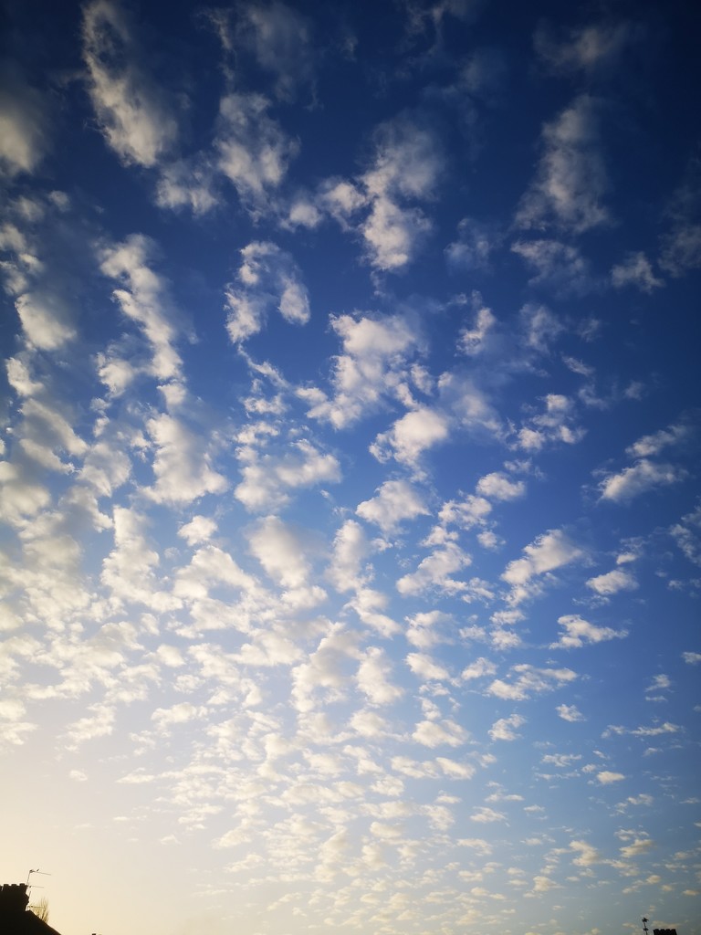 Cloudy Sky by plainjaneandnononsense