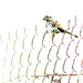 Bird on a Fence by redy4et