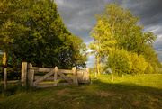 13th May 2020 - The gate at sunset