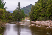 14th May 2020 - Kauaeranga Valley