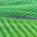 Rolled fields by steveandkerry