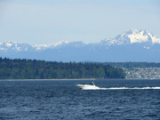 14th May 2020 - Puget Sound