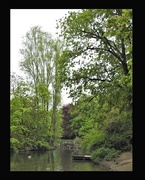 3rd May 2020 - Vernon Park Pond