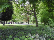 3rd May 2020 - Vernon Park