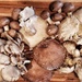 mushrooms by edorreandresen
