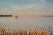 15th May 2020 - MaiMai on lake Waikare