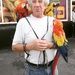 Just taking his parrots for a walk!!!!  by plainjaneandnononsense
