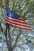 15th May 2020 -  American Flag