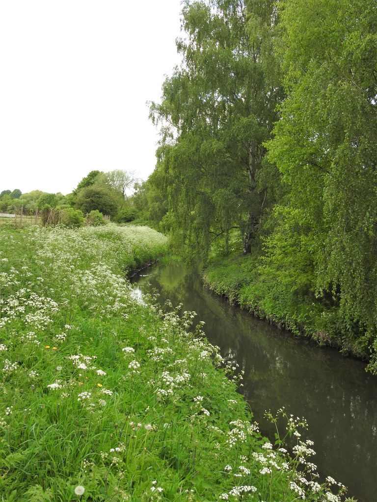 River Leen - Highbury Vale by oldjosh