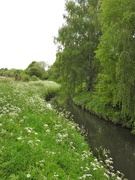 9th May 2020 - River Leen - Highbury Vale