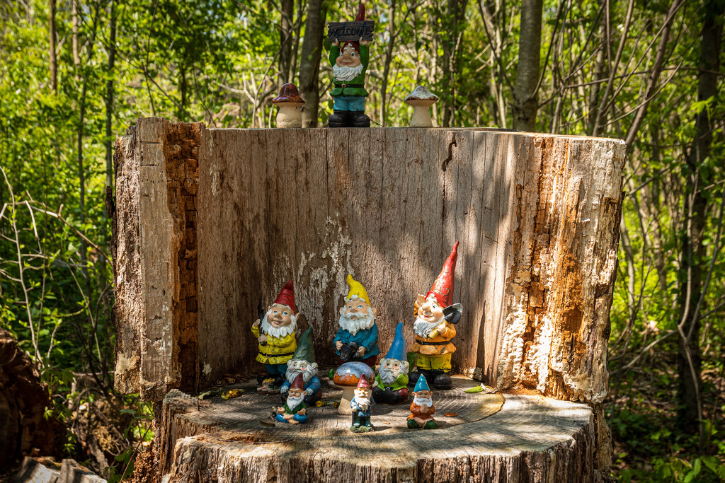 Welcome Gnomes by swchappell