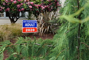 14th May 2020 - Yard sign